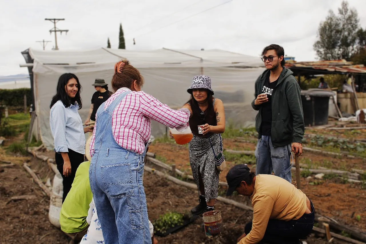 Recolección de material vegetal en campo para las camas de lombricultura